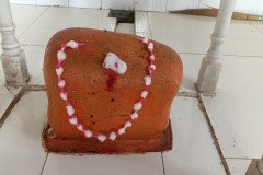 Virabapa-Havan-16